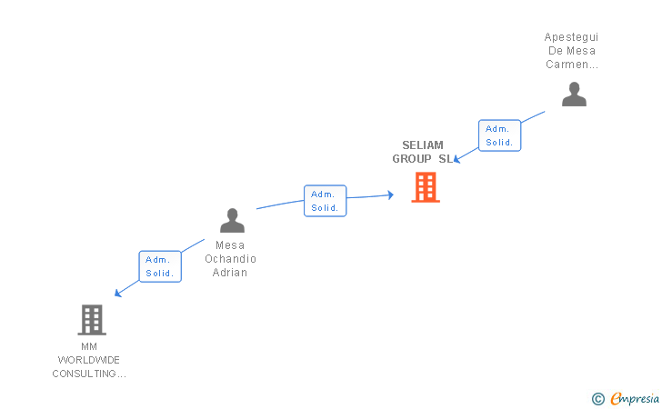 Vinculaciones societarias de SELIAM GROUP SL