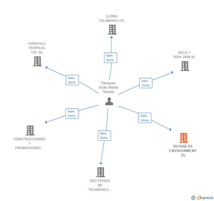Vinculaciones societarias de BUSINESS ENVIRONMENT SL