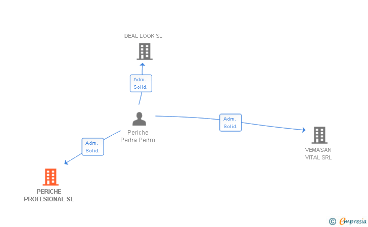 Vinculaciones societarias de PERICHE PROFESIONAL SL