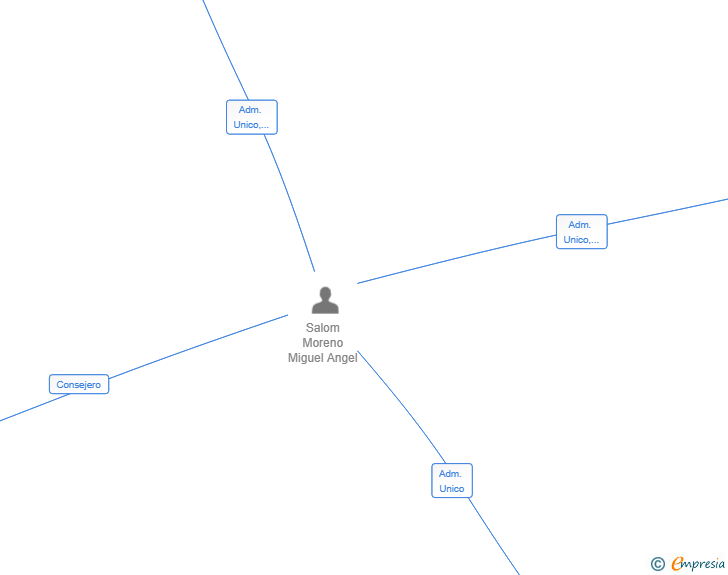 Vinculaciones societarias de PROYECTA IDEAS Y NEGOCIOS SL