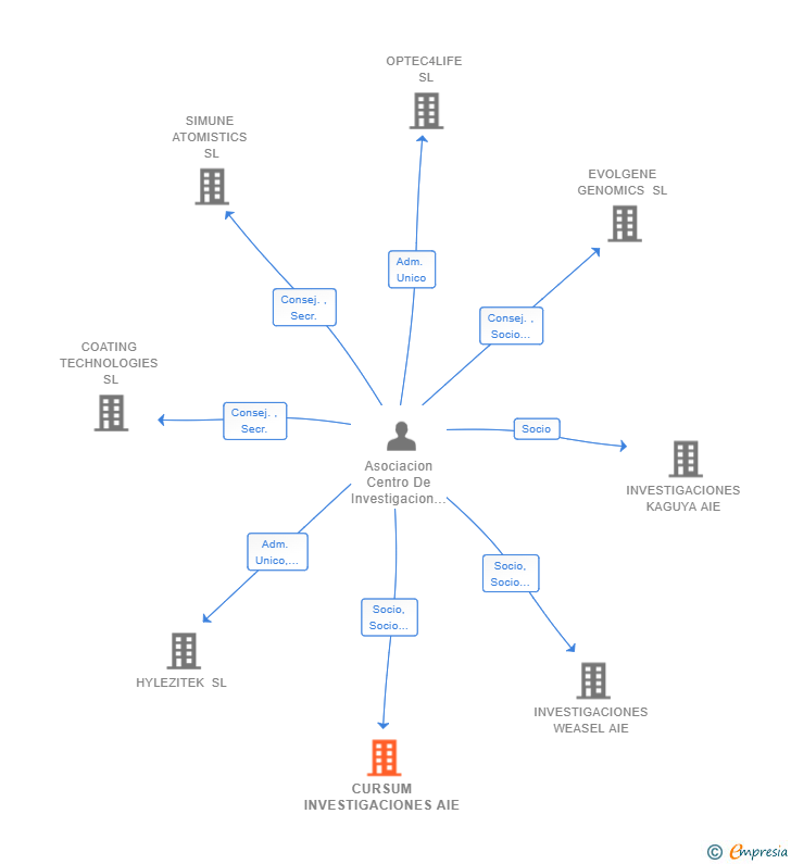 Vinculaciones societarias de CURSUM INVESTIGACIONES AIE