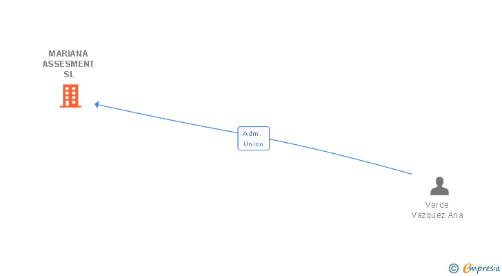 Vinculaciones societarias de MARIANA ASSESMENT SL
