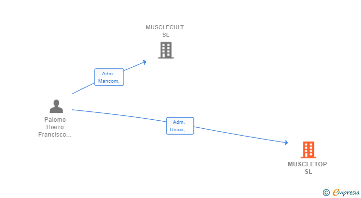 Vinculaciones societarias de MUSCLETOP SL