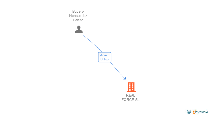 Vinculaciones societarias de REAL FORCE SL