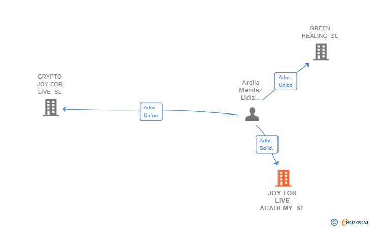 Vinculaciones societarias de JOY FOR LIVE ACADEMY SL