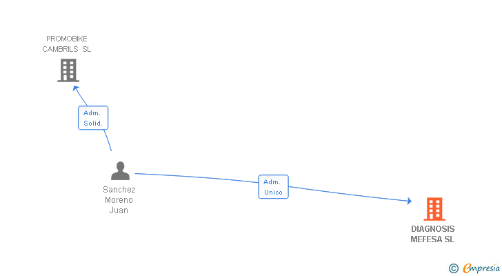Vinculaciones societarias de DIAGNOSIS MEFESA SL