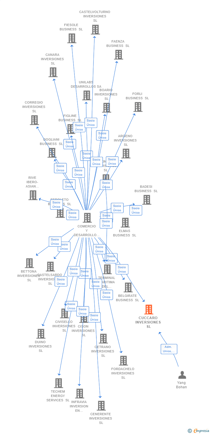 Vinculaciones societarias de CUCCARO INVERSIONES SL