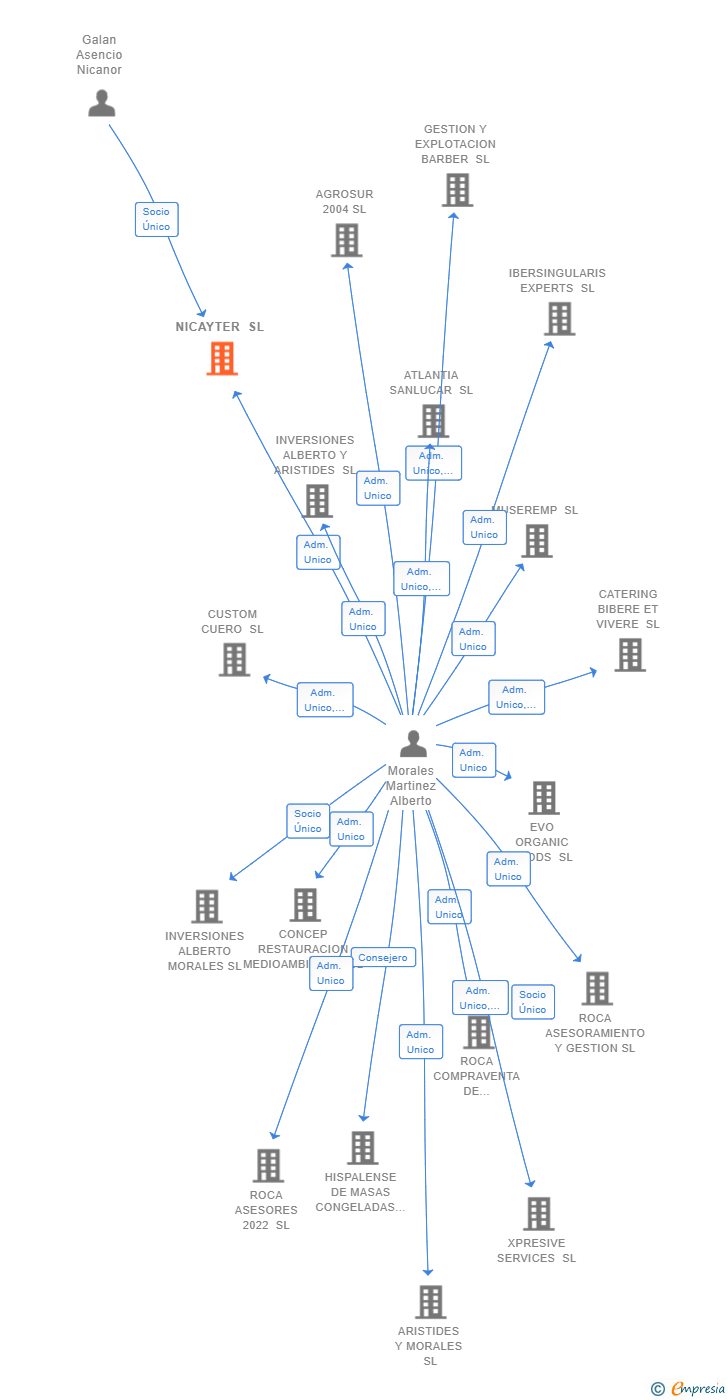 Vinculaciones societarias de NICAYTER SL