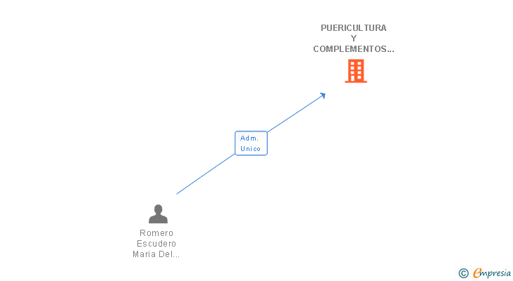 Vinculaciones societarias de PUERICULTURA Y COMPLEMENTOS PARA BEBES SL
