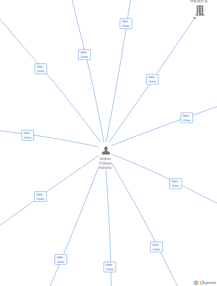 Vinculaciones societarias de CIRUGIA ESTETICA INTEGRAL SL
