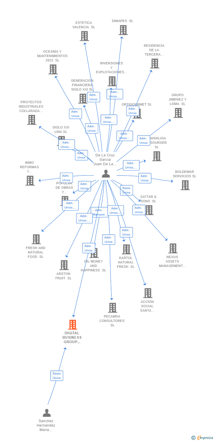 Vinculaciones societarias de DIGITAL BUSINESS GROUP EUROPE SL