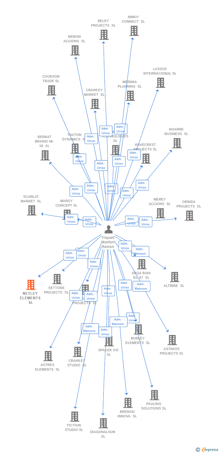 Vinculaciones societarias de NETLEY ELEMENTS SL