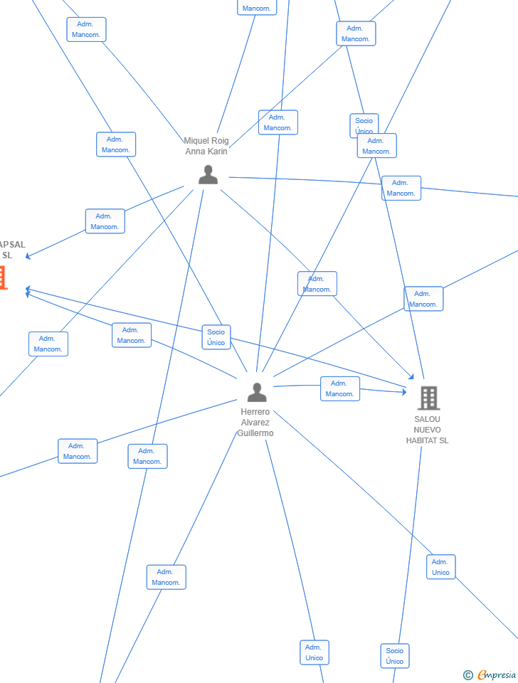 Vinculaciones societarias de INVERCAPSAL 2025 SL