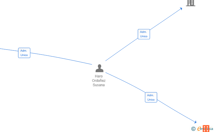 Vinculaciones societarias de GLOBAL HAYET SL