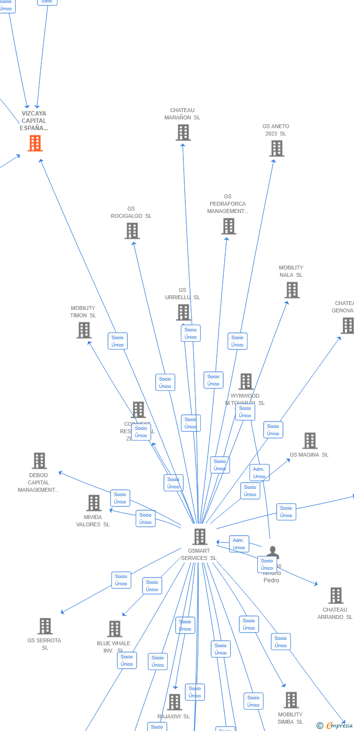 Vinculaciones societarias de VIZCAYA CAPITAL ESPAÑA HOLDING SL