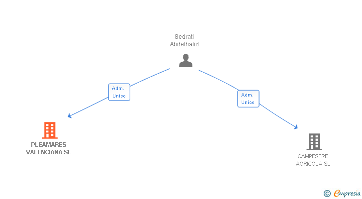 Vinculaciones societarias de PLEAMARES VALENCIANA SL