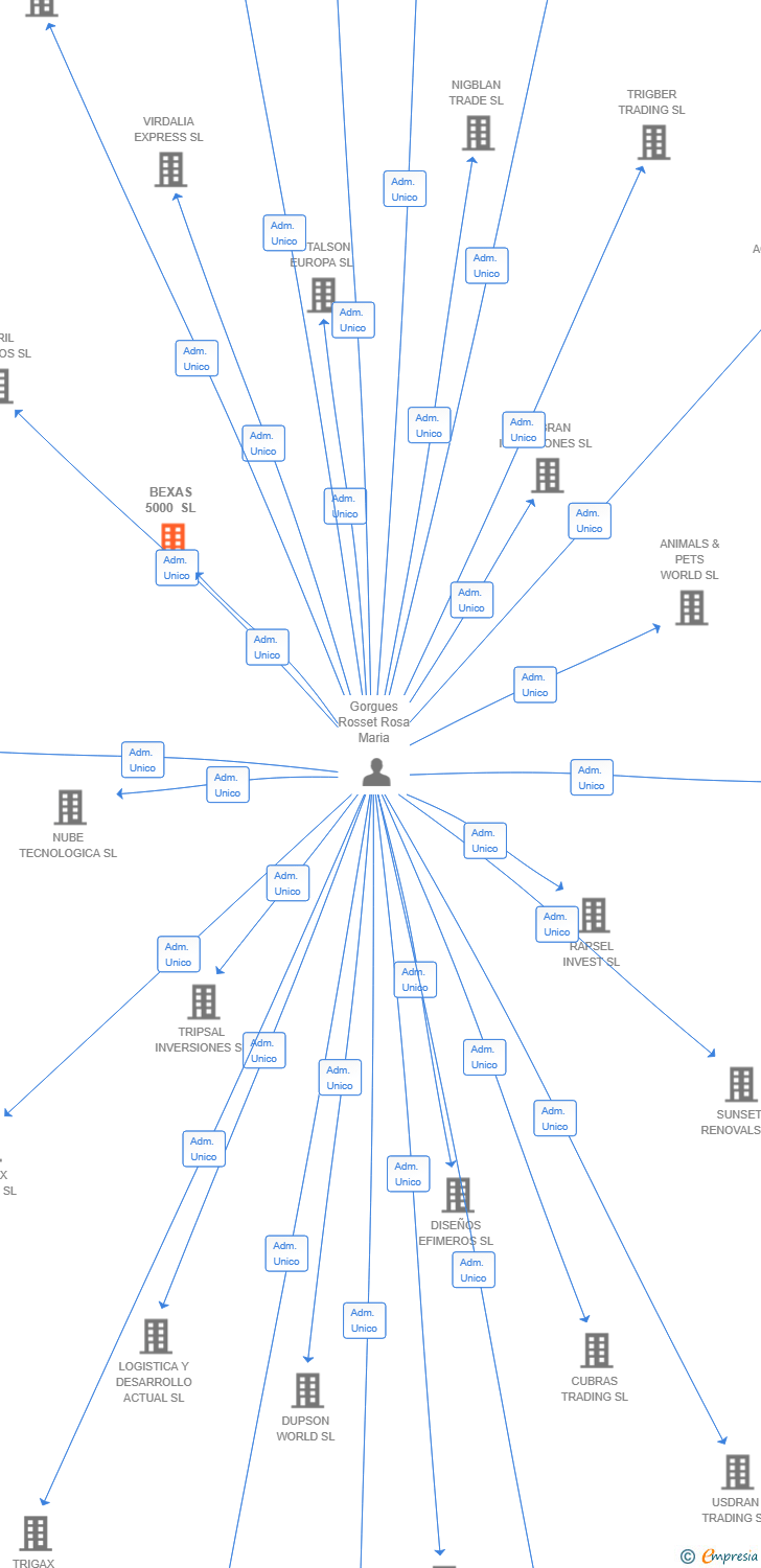 Vinculaciones societarias de BEXAS 5000 SL