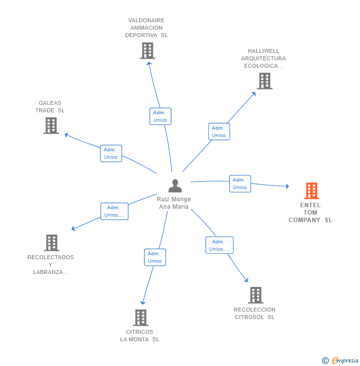 Vinculaciones societarias de ENTEL TOM COMPANY SL
