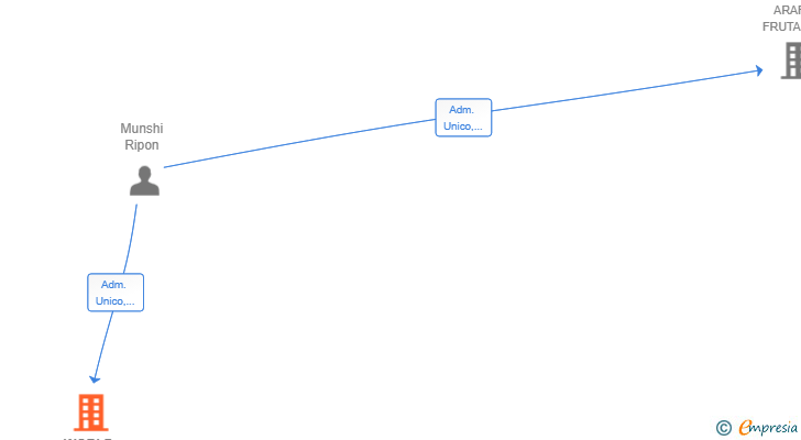 Vinculaciones societarias de WORLD SPORT KING SL