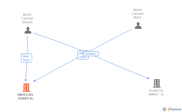 Vinculaciones societarias de VINYES DEL TERRER SL