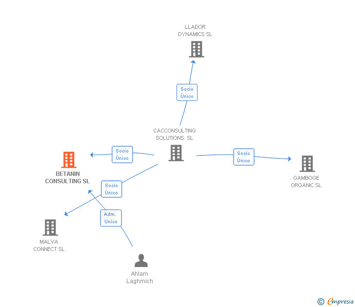 Vinculaciones societarias de BETANIN CONSULTING SL