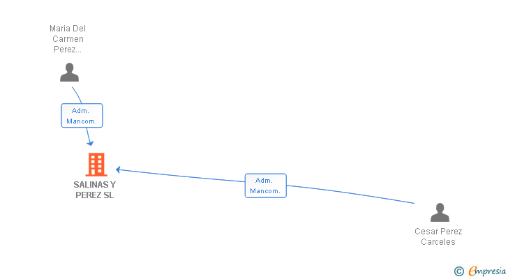 Vinculaciones societarias de SALINAS Y PEREZ SL