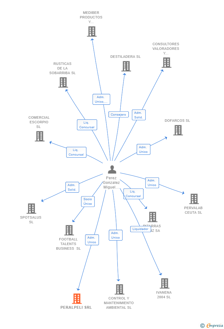 Vinculaciones societarias de PERALPELI SRL