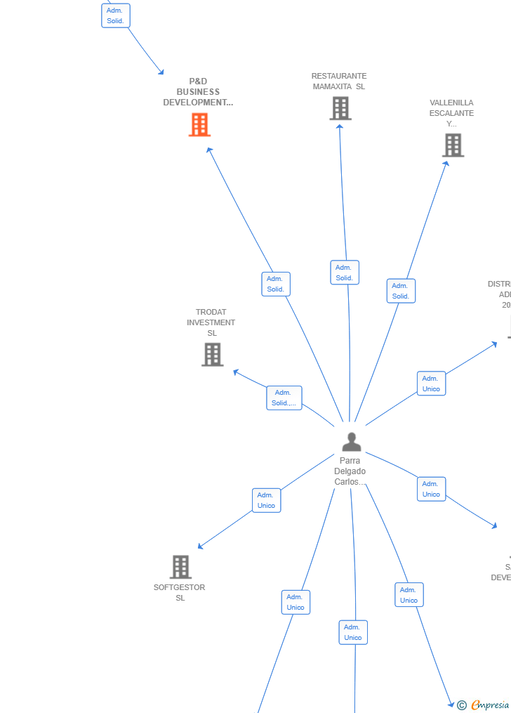Vinculaciones societarias de P&D BUSINESS DEVELOPMENT AND ADVISORY SERVICES SL