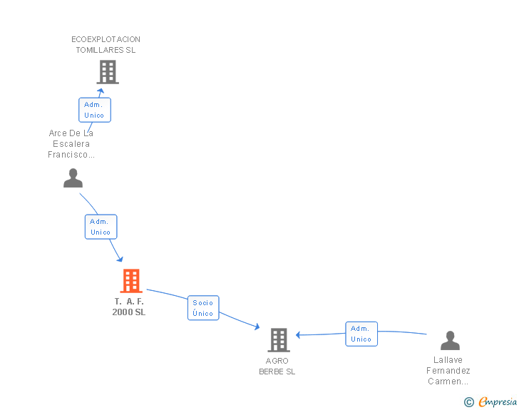 Vinculaciones societarias de T. A. F. 2000 SL