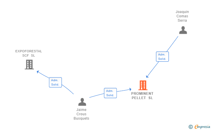 Vinculaciones societarias de PROMINENT PELLET SL