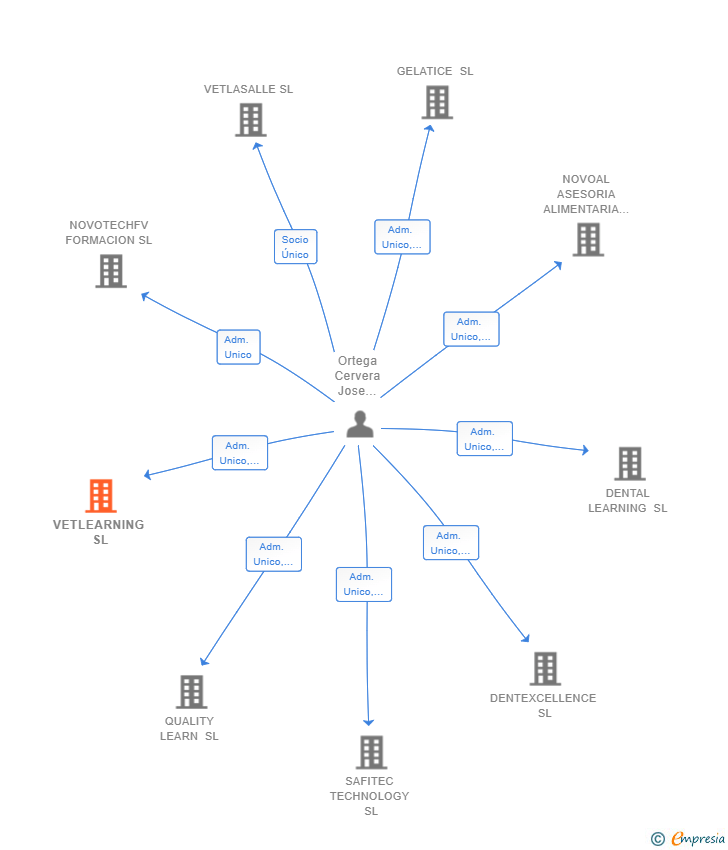 Vinculaciones societarias de VETLEARNING SL