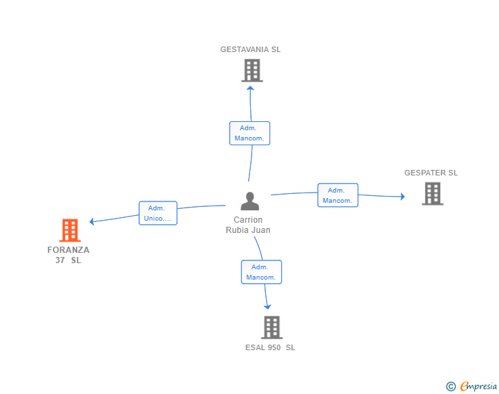 Vinculaciones societarias de FORANZA 37 SL (EXTINGUIDA)