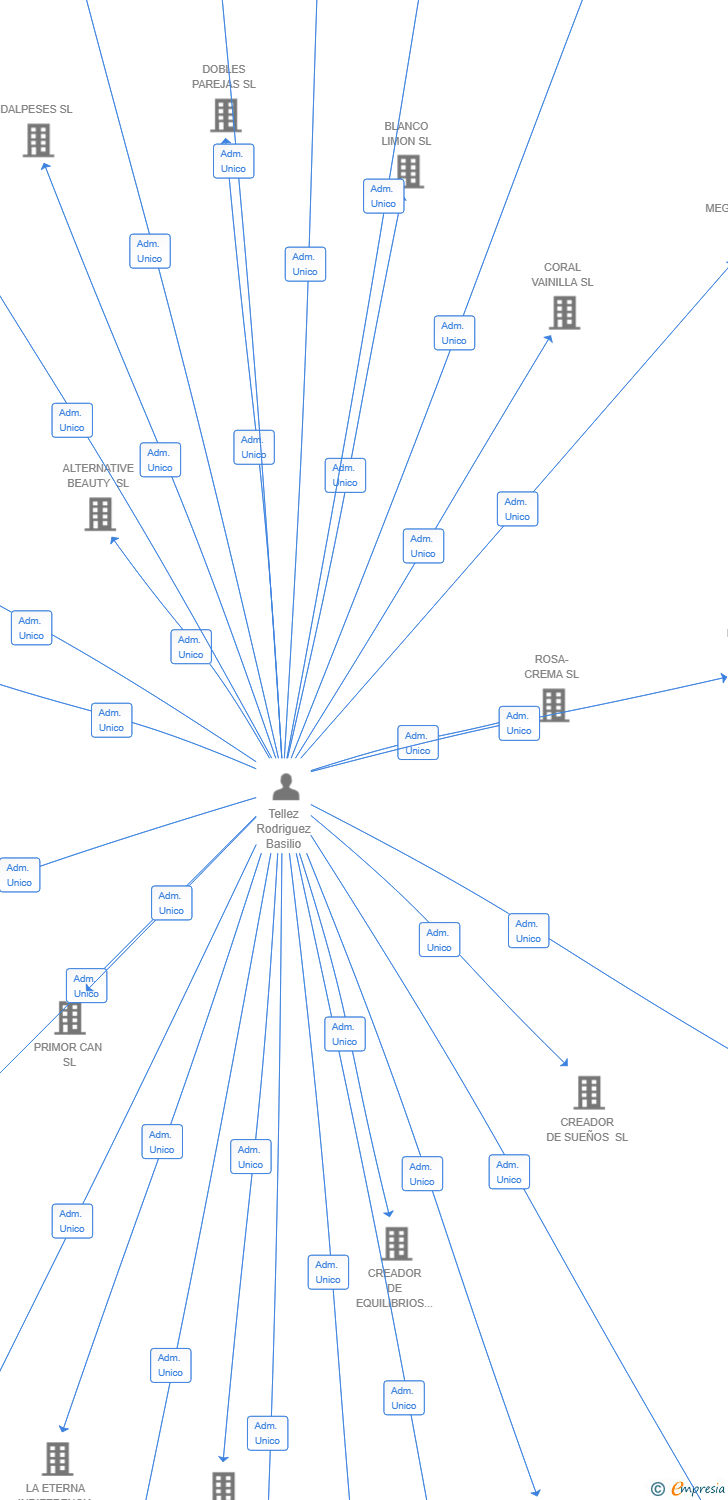 Vinculaciones societarias de PINK TURTLE SL