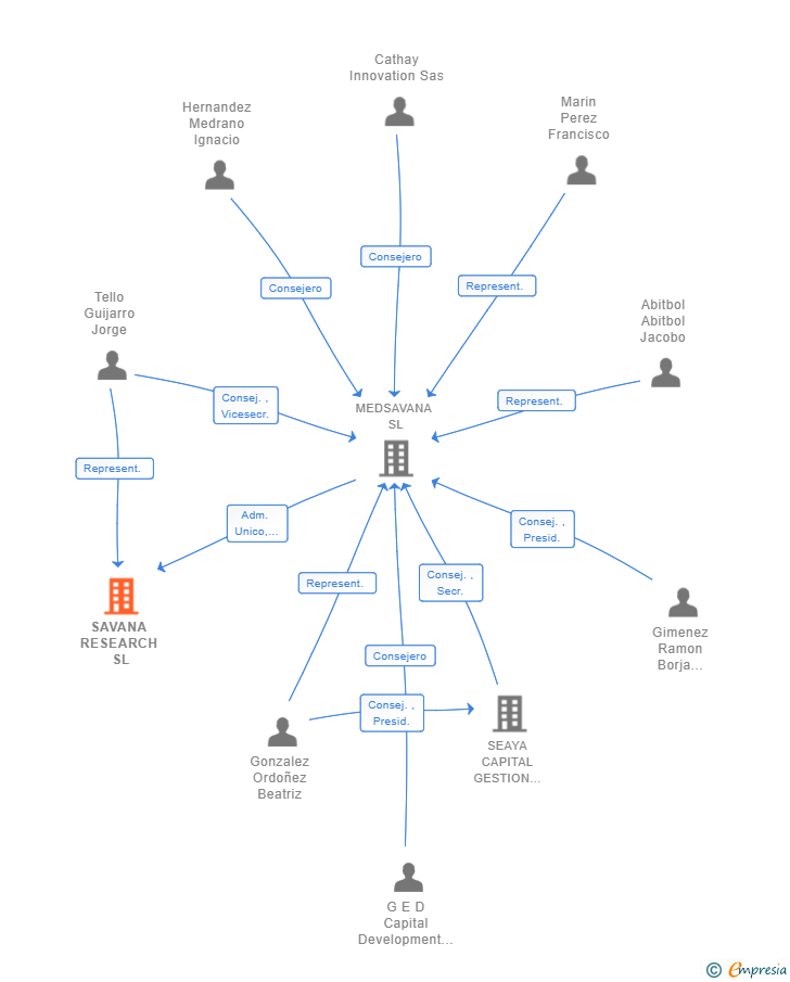 Vinculaciones societarias de SAVANA RESEARCH SL