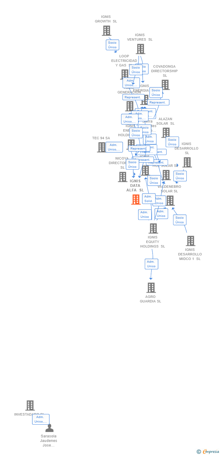 Vinculaciones societarias de IGNIS DATA ALFA SL