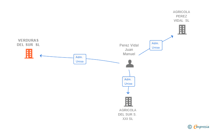 Vinculaciones societarias de VERDURAS DEL SUR SL