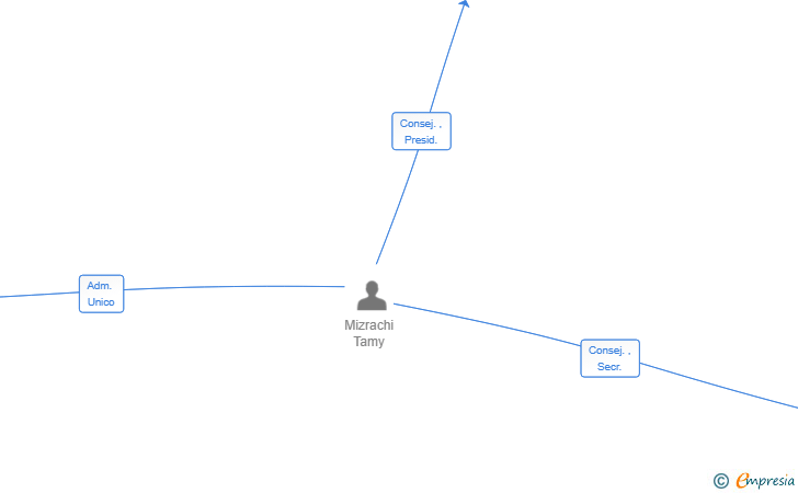 Vinculaciones societarias de MIZRACHI SL