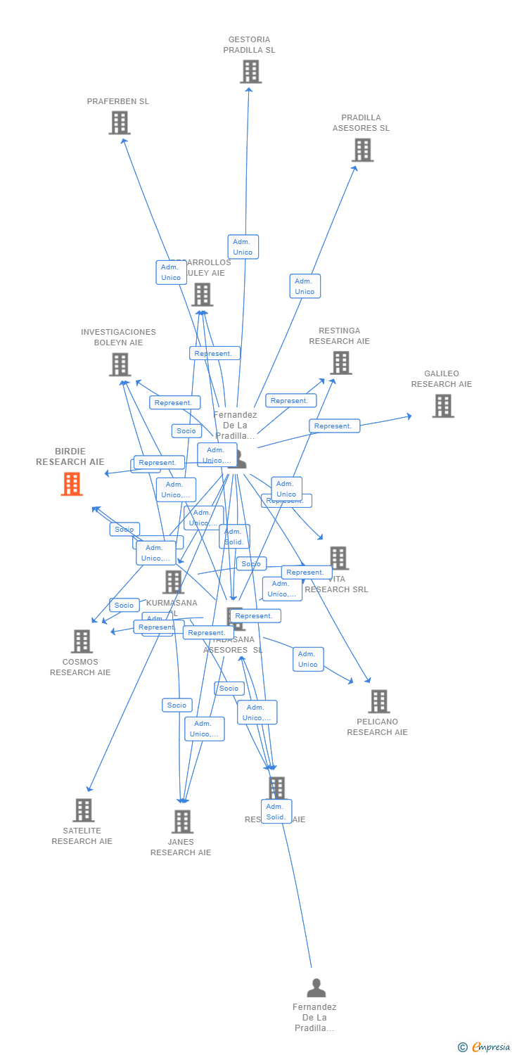 Vinculaciones societarias de BIRDIE RESEARCH AIE