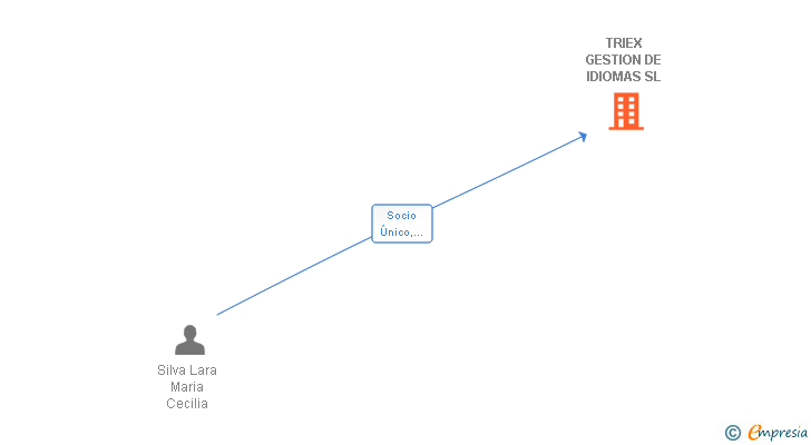 Vinculaciones societarias de TRIEX GESTION DE IDIOMAS SL