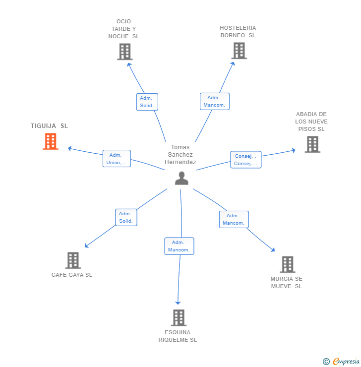 Vinculaciones societarias de TIGUIJA SL