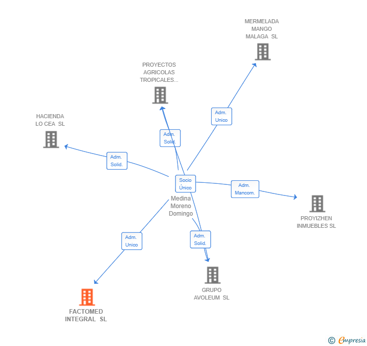 Vinculaciones societarias de FACTOMED INTEGRAL SL