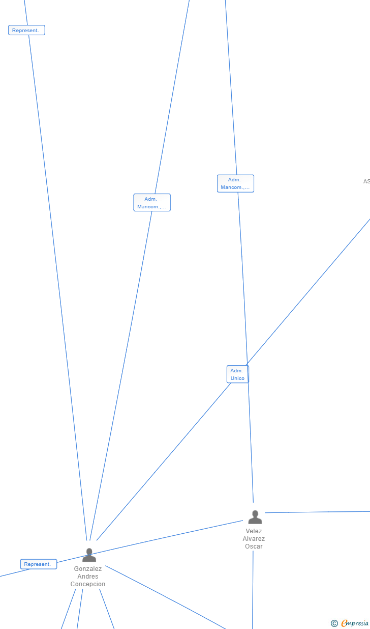 Vinculaciones societarias de IRIVELDIA SLP