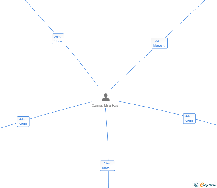 Vinculaciones societarias de DEWITO BRICKS SL