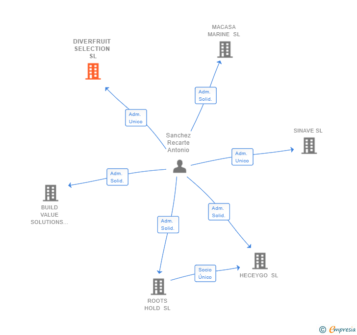 Vinculaciones societarias de DIVERFRUIT SELECTION SL