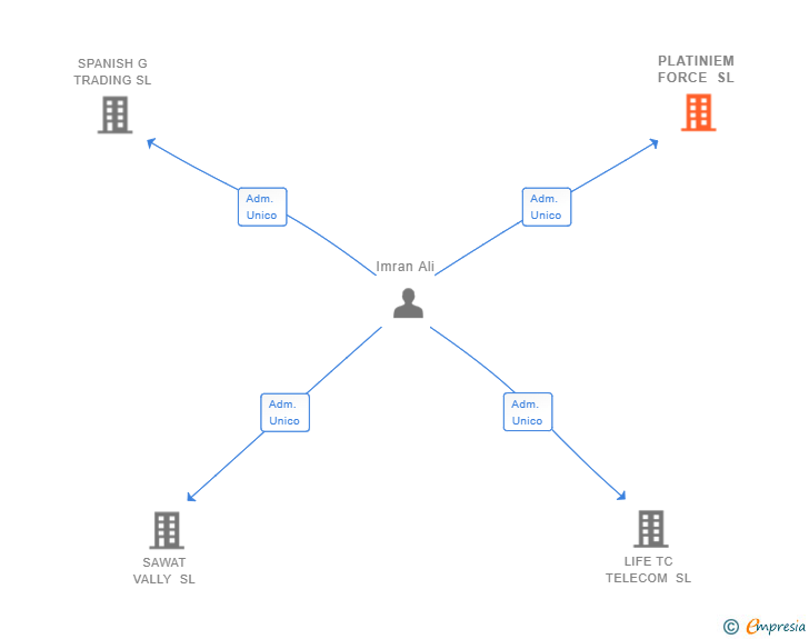 Vinculaciones societarias de PLATINIEM FORCE SL