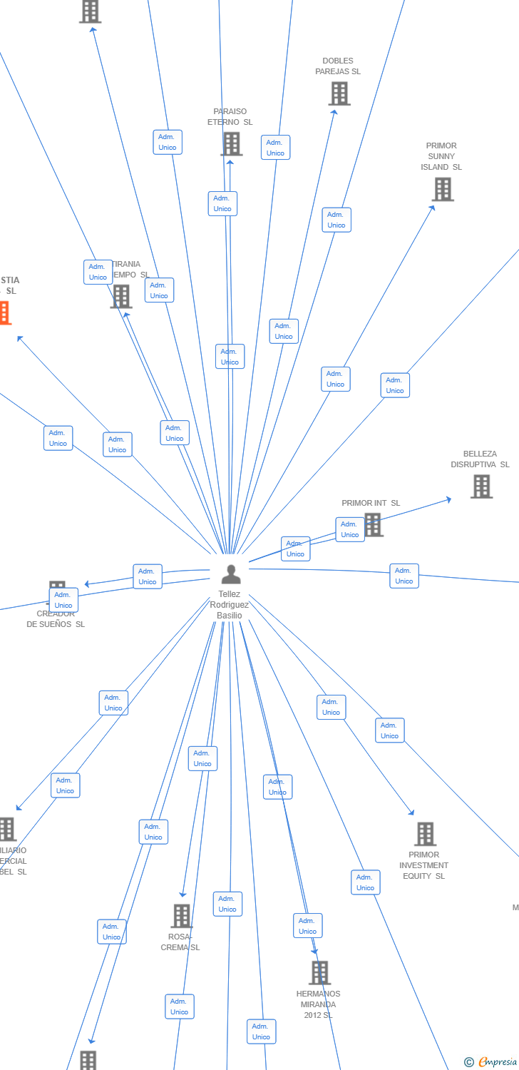 Vinculaciones societarias de AMNISTIA 2024 SL