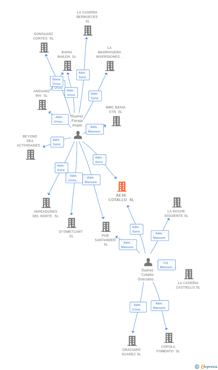Vinculaciones societarias de AESE COTALLO SL
