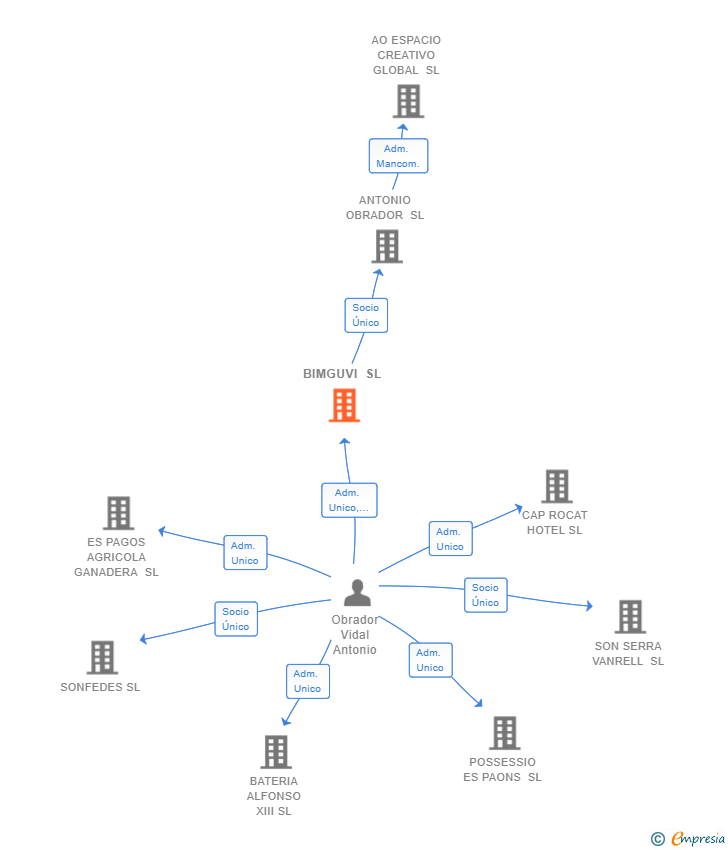 Vinculaciones societarias de BIMGUVI SL