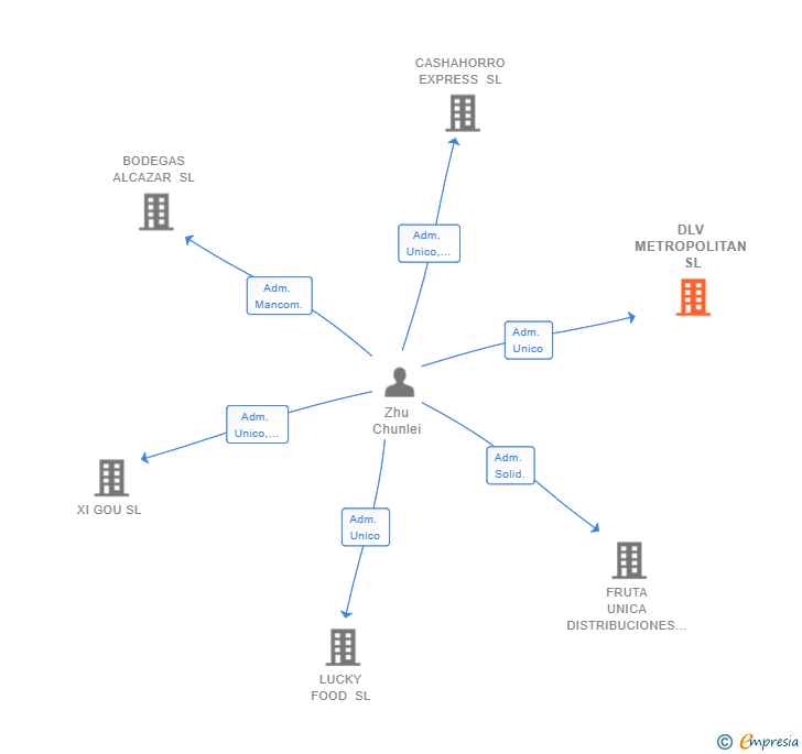 Vinculaciones societarias de DLV METROPOLITAN SL