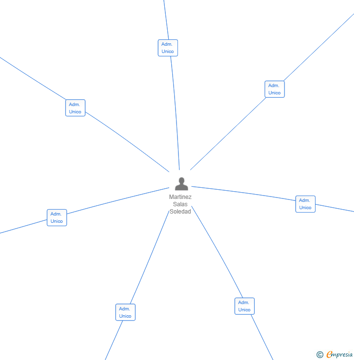 Vinculaciones societarias de BLOOM HOME SL